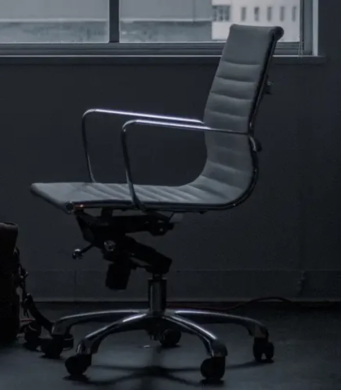 ErgoLux Executive Chair