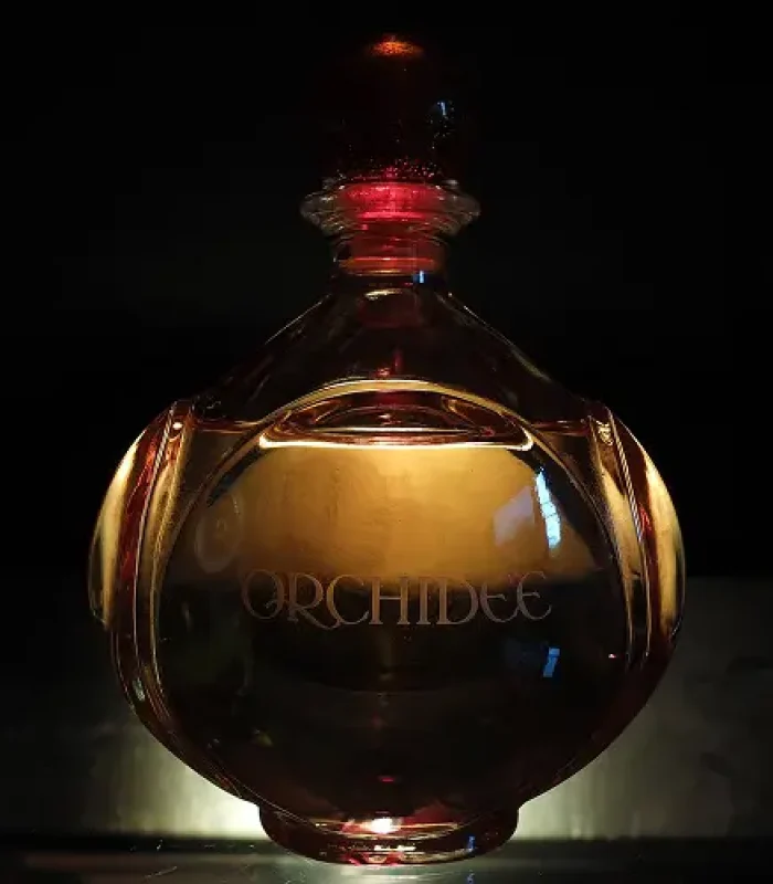 Midnight Essence Perfume