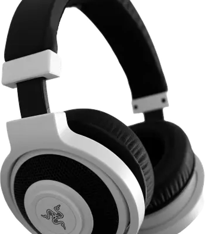 Premium Wireless Headphones